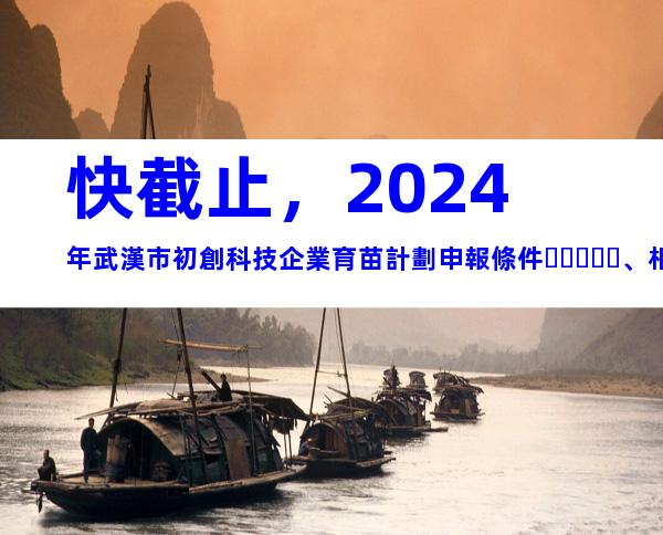 快截止，2024年武漢市初創科技企業育苗計劃申報條件、相關內容
